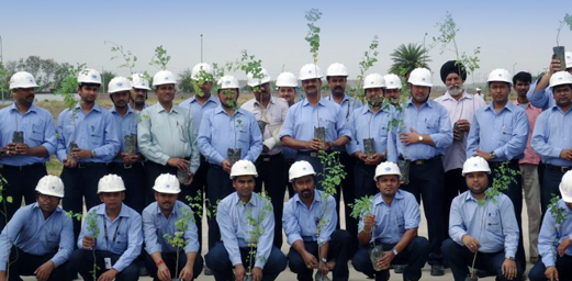 Tree plantation by employees